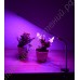 Лампа для досветки рассады и домашних цветов с креплением-зажимом и гибким кронштейном "Толиман"