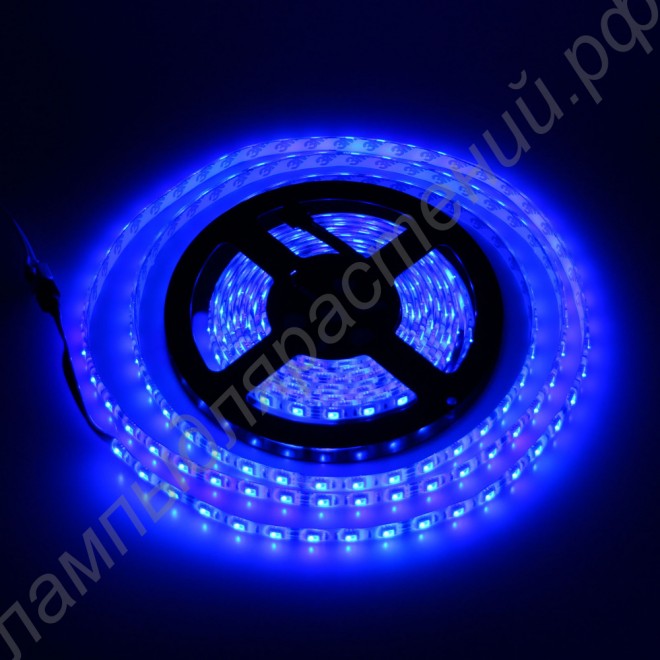Светодиодная лента синего цвета SMD5050 для использования в биколорных светильниках